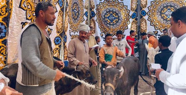 حزب مستقبل وطن ينظم أكبر قافلة بيطرية لدعم مربي الماشية بمركز قوص جنوب قنا