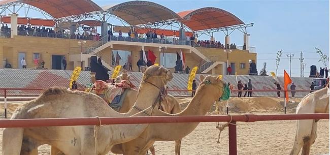 بحضور رئيس الوزراء.. انطلاق رالي باها للسيارات وسباق الهجن بالوادي الجديد