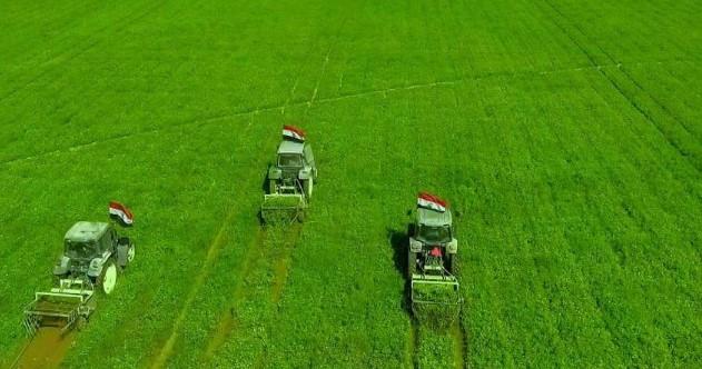 استشاري تنمية: المشروعات القومية تسهم في رسم المستقبل الزراعي