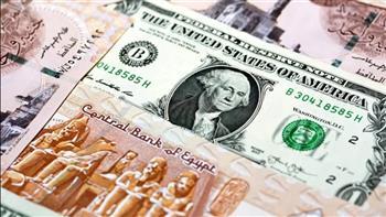 استقرار سعر الدولار اليوم مقابل الجنيه المصري