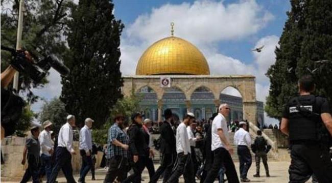 144 مستوطنا يقتحمون المسجد الأقصى بحماية شرطة الاحتلال الإسرائيلي