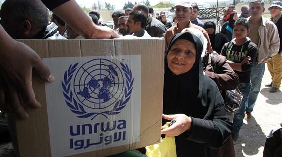 "الأونروا": إمدادات الغذاء التي تدخل غزة لا تلبي سوى 6% من حاجة السكان