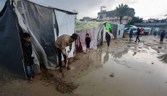 أمجد الشوا: آلاف الخيام غرقت خلال الساعات الماضية في غزة
