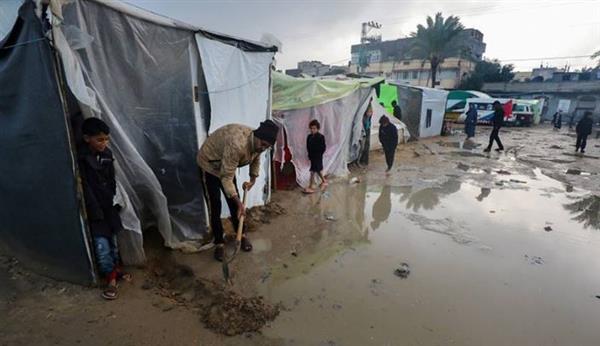 أمجد الشوا: آلاف الخيام غرقت خلال الساعات الماضية في غزة