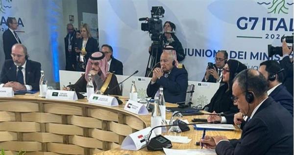 أبو الغيط: قوة الاحتلال تسعى لرسم خريطة جديدة للمنطقة تقوض حل القضية الفلسطينية