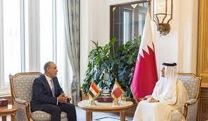 وزير الخارجية المصري: نتطلع لتطوير العلاقات مع قطر في كافة المجالات