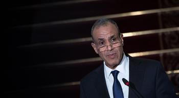   وزير الخارجية: مصر تؤيد كل خطوة من شأنها الحفاظ على استقرار لبنان