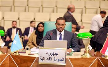   السفير إلياس شيخ عمر أبو بكر يترأس وفد الصومال المشارك في اجتماع وزراء العدل العرب بالقاهرة
