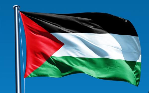 تضامنا مع فلسطين... مصر تحيي اليوم الدولي للتضامن مع الشعب الفلسطيني