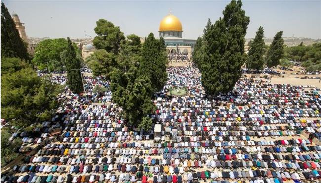 50 ألف فلسطيني يؤدون صلاة الجمعة في المسجد الأقصى