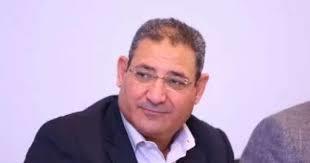 أيوب: مصر بذلت جهودا غير مسبوقة وتحملت القضية الفلسطينية على عاتقها