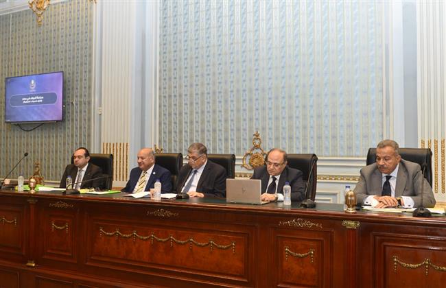 جلسة خاصة بمجلس النواب لوضع خارطة طريق لحل موضوع نقض الأدوية 