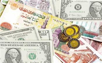   تعرف على أسعار العملات أمام الجنيه 