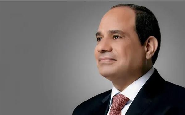 الرئيس السيسي يلتقى نظيره الأيرلندي بالقصر الرئاسي بدبلن