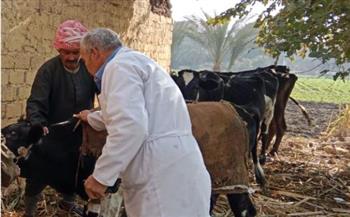   بيطري المنيا: تحصين 152 ألف رأس ماشية على مدار شهر 
