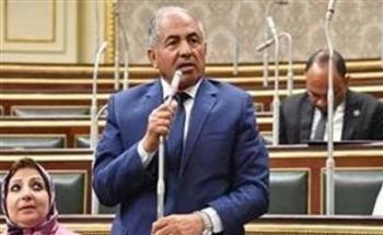   حماة الوطن : الرئيس السيسي بعث رساله طمأنة للمصريين والأشقاء