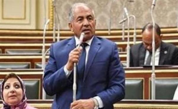 حماة الوطن : الرئيس السيسي بعث رساله طمأنة للمصريين والأشقاء