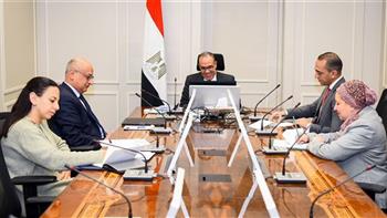   وزير الخارجية يستعرض الجهود المصرية لتقديم الدعم الإنساني إلى قطاع غزة