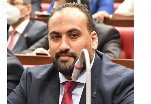 الرشيدي: القمة المصرية الأردنية تؤكد التقارب تجاه قضايا لتحقيق أمن واستقرار المنطقة