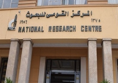 التنمر والعنف الرقمي وتأثيرهما على الشخصية المصرية وسبل المواجهة