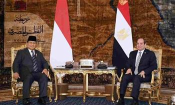   الرئيس السيسي: اتفقنا مع إندونيسيا على إنشاء منطقة لوجستية بـ قناة السويس