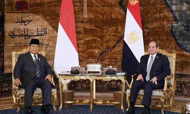 الرئيس السيسي: اتفقنا مع إندونيسيا على إنشاء منطقة لوجستية بـ قناة السويس