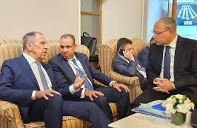 لقاءات ثنائية لوزير الخارجية المصري على هامش اجتماعات D8