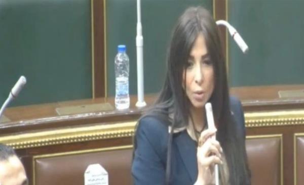 مروة بركات تشارك فى الجلسة العامة لمجلس النواب