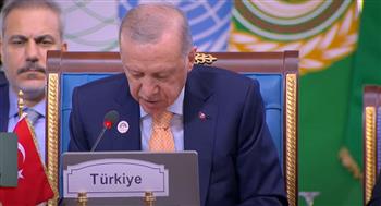   أردوغان: نثمن دور مصر في دعم برامج الشباب لتمكينهم اقتصاديا