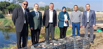   انطلاق موسم حصاد السمك البلطي بالمزارع السمكية المفتوحة بكلية الزراعة بمشتهر 