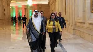   وزيرة التنمية المحلية تشارك في حفل سفارة الإمارات بمناسبة عيد الاتحاد 53