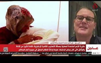 الأمم المتحدة : جمعنا الأدلة الخاصة بتعذيب مواطنين في سوريا خلال حكم الأسد