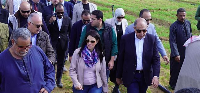 المشاط: 62 مليار جنيه استثمارات لتنمية محافظات الصعيد بخطة العام المالي الجاري