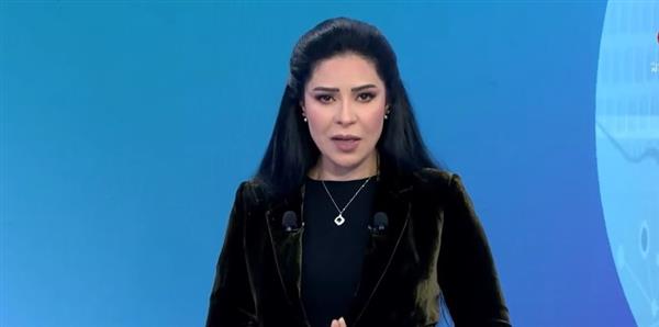 أمل الحناوي: الدور المصري بارز في دعم القضية الفلسطينية منذ اليوم الأول للعدوان