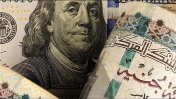   استقرار سعر الدولار اليوم .. مقابل الجنيه 