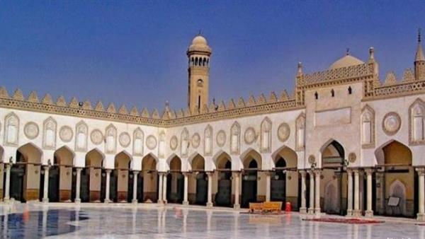 مظاهر الإعجاز في خلق الذباب.. الجامع الأزهر يعقد ملتقى التفسير اليوم