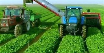   حصاد وزارة الزراعة في 2024.. تعزيز للأمن الغذائي في مواجهة التحديات المتلاحقة