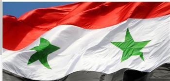 فارس: الأولوية للحل السوري الشامل والحفاظ على الدولة الوطنية