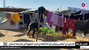   نموذج في الصمود.. النازحون في المواصي يلجأون للزراعة للتصدي لحرب التجويع التي تمارسها الاحتلال