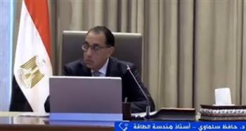   أستاذ هندسة الطاقة: الدولة تستهدف التحول إلى الطاقة المتجددة لمواجهة تغير المناخ