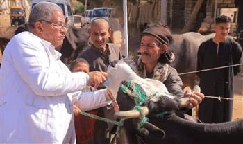   محافظ المنيا يستعرض جهود الطب البيطري في 2024