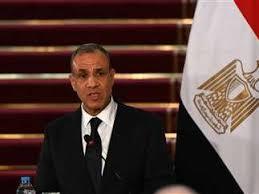   وزير الخارجية: مشروع الربط البرى بين مصر وتشاد ممر كبير للتنمية
