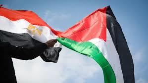   مصر تنتصر لفلسطين.. القاهرة تكثف جهودها لوقف إطلاق النار في غزة