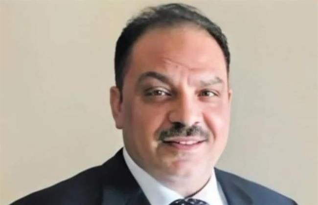 النجار: مصر تسعى لحشد الجهود لتوفير المساعدات الإنسانية العاجلة لأهل غزة