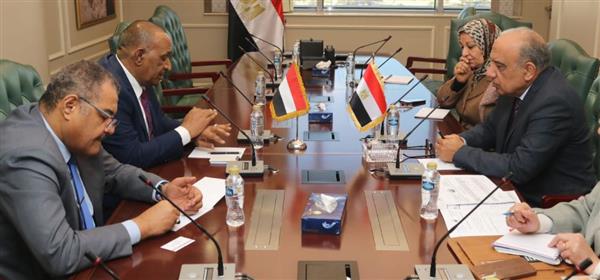 مصر والسودان يبحثان استكمال المرحلة الثانية لمشروع خط الربط الكهربائي "توشكي 2"