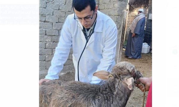 كلية طب بيطري الزقازيق توجه قافلة مجانية لقرية الشبانات بالشرقية