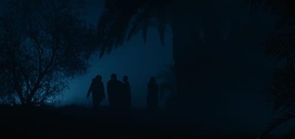 تامر مرتضى يعلن تفاصيل مشاركته في مهرجان البحر الأحمر السينمائي الدولي