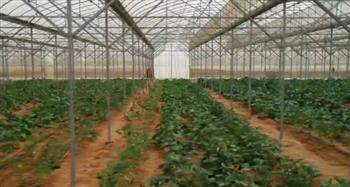   استشاري التنمية المستدامة: الاستثمار الزراعي يحتاج إلى القطاع الخاص