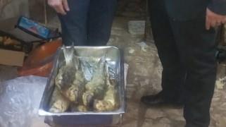 ضبط فسيخ ورنجة غير صالحة للاستهلاك الآدمي بالإسكندرية