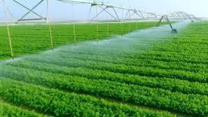 استشاري التنمية المستدامة: الاستثمار الزراعي يحتاج إلى القطاع الخاص